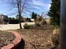 IMG_0389.jpg