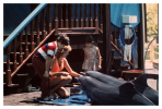 dolphinshow_02.png