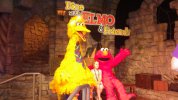 Dine with Elmo & Friends - Big Bird & Elmo.JPG