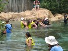 IMG_2767.JPG