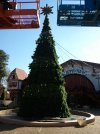 2012-11-14 12.45.11.jpg