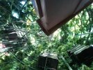 2012-12-13 13.03.30.jpg